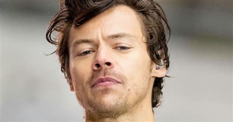 harry styles dick pic|Harry Styles Reveals The Penis Clause He Had In His Film Contract